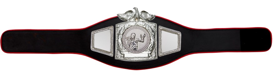 PROEAGLE FEMALE BOXING CHAMPIONSHIP BELT - PROEAGLE/S/FEMBOXS - AVAILABLE IN 6+ COLOURS PROEAGLE FEMALE BOXING CHAMPIONSHIP BELT - PROEAGLE/S/FEMBOXS - AVAILABLE IN 6+ COLOURS